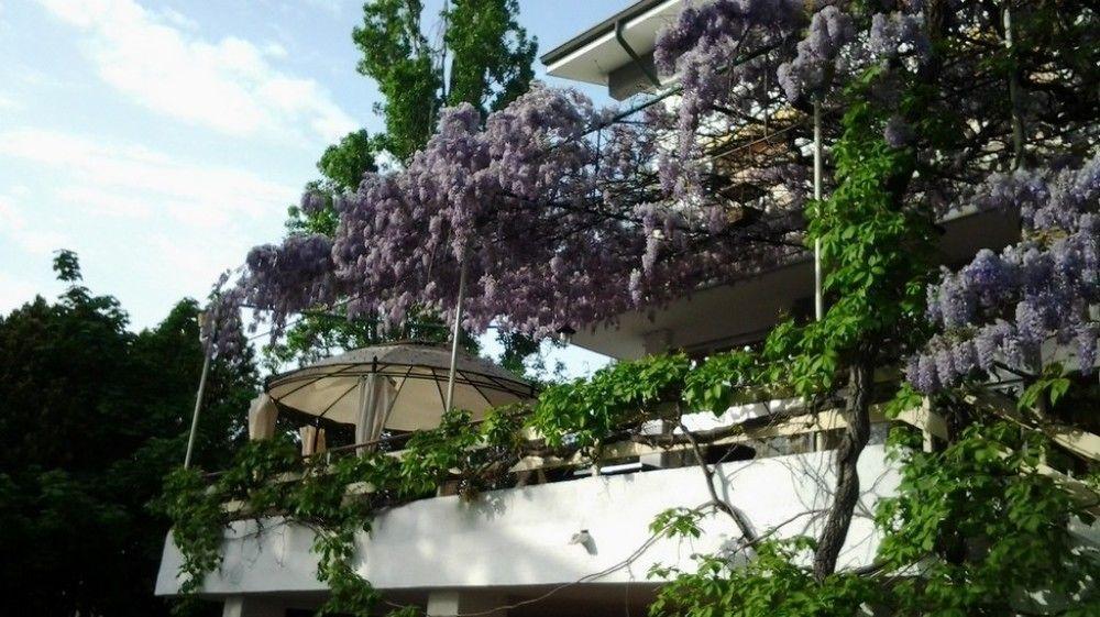 Hotel Ristorante Sole Múggia Eksteriør bilde